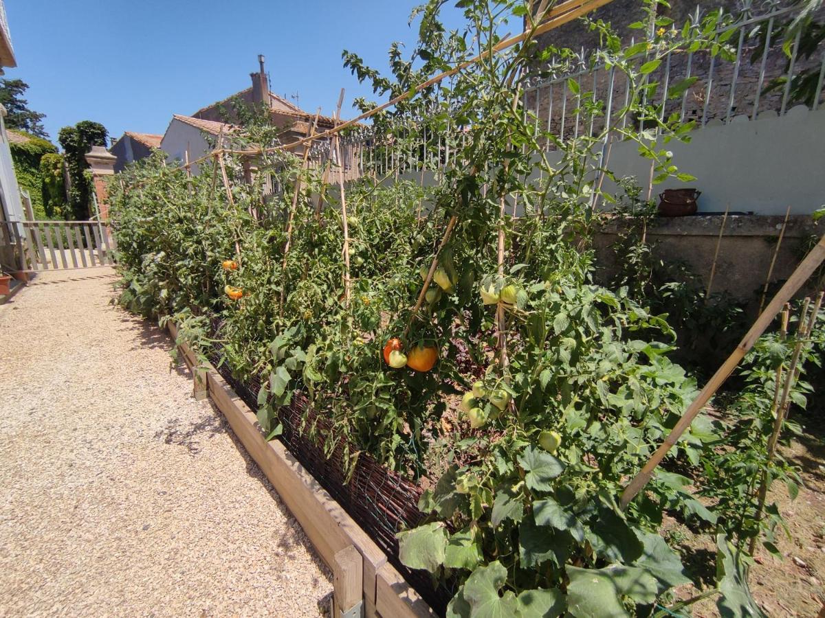 The Cottage, Clos Des Archers Aigues-Vives  Экстерьер фото